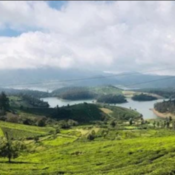 Best Ooty Tour Packages | Ooty Holiday Packages | Ooty Honeymoon Packages | Ooty Holiday Planner | Ooty Local Tour Packages | Ooty holiday planner | Best Ooty Travels | Best Ooty Travels Taxi Service | Taxi Services in Ooty | Best Tours and Travels in Ooty | Ooty cabs | Best Ooty tour packages | Ooty Best Taxi | Ooty Taxi Services | Ooty Travels | Travel Agency Near me | Travels in Ooty| Travel Agency in Ooty | Day Wise Tour Packages | Taxi Booking in Ooty | Cab Rentals in Ooty | Local Sightseeing Tours in Ooty | Sightseeing in Ooty | Travel Packages in Ooty | Ooty Car Rental | Taxi Booking in Ooty | Tour Packages in Ooty | Ooty Tour Packages |Honeymoon Packages in Ooty | Trip Planner Ooty | Best Travel Agency in Ooty | Ooty Travels Booking | Family Tour Packages | Adventure Tour Packages | Masinagudi Tour Packages | Jeep Safari | Budget Tour Packages in Ooty | Luxury Tour Packages | Holiday Packages in Ooty | Local Sightseeing Packages in Ooty | Tour Operators in Ooty | Travel Agents in Ooty | Ooty Tour Packages from Bangalore | Cab Rentals in Ooty | Cab Booking in Ooty | Local Sightseeing by Car in Ooty | Taxi Rentals in Ooty | Ooty Taxi Packages | Cheapest Cab Service in Ooty | Best Cab Service in Ooty | Ooty Sightseeing Cab Price | Ooty Local Sightseeing Packages by Car | Ooty Taxi Service | Taxi Service Ooty | Travels in Ooty | Room Booking in Ooty | Hotel Booking in Ooty | Outstation Trips | Ooty to Coimbatore Trips | Local Ooty Trips | Ooty to Bangalore taxi booking | Ooty airport taxi booking | Ooty local taxi booking | Ooty outstation taxi booking