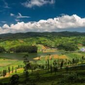 Best Ooty Tour Packages | Ooty Holiday Packages | Ooty Honeymoon Packages | Ooty Holiday Planner | Ooty Local Tour Packages | Ooty holiday planner | Best Ooty Travels | Best Ooty Travels Taxi Service | Taxi Services in Ooty | Best Tours and Travels in Ooty | Ooty cabs | Best Ooty tour packages | Ooty Best Taxi | Ooty Taxi Services | Ooty Travels | Travel Agency Near me | Travels in Ooty| Travel Agency in Ooty | Day Wise Tour Packages | Taxi Booking in Ooty | Cab Rentals in Ooty | Local Sightseeing Tours in Ooty | Sightseeing in Ooty | Travel Packages in Ooty | Ooty Car Rental | Taxi Booking in Ooty | Tour Packages in Ooty | Ooty Tour Packages |Honeymoon Packages in Ooty | Trip Planner Ooty | Best Travel Agency in Ooty | Ooty Travels Booking | Family Tour Packages | Adventure Tour Packages | Masinagudi Tour Packages | Jeep Safari | Budget Tour Packages in Ooty | Luxury Tour Packages | Holiday Packages in Ooty | Local Sightseeing Packages in Ooty | Tour Operators in Ooty | Travel Agents in Ooty | Ooty Tour Packages from Bangalore | Cab Rentals in Ooty | Cab Booking in Ooty | Local Sightseeing by Car in Ooty | Taxi Rentals in Ooty | Ooty Taxi Packages | Cheapest Cab Service in Ooty | Best Cab Service in Ooty | Ooty Sightseeing Cab Price | Ooty Local Sightseeing Packages by Car | Ooty Taxi Service | Taxi Service Ooty | Travels in Ooty | Room Booking in Ooty | Hotel Booking in Ooty | Outstation Trips | Ooty to Coimbatore Trips | Local Ooty Trips | Ooty to Bangalore taxi booking | Ooty airport taxi booking | Ooty local taxi booking | Ooty outstation taxi booking